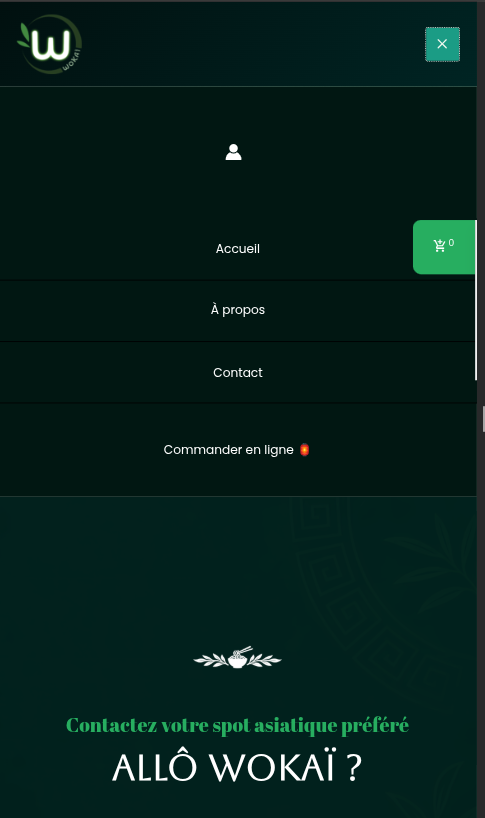 Aperçu du menu mobile du site Wokai